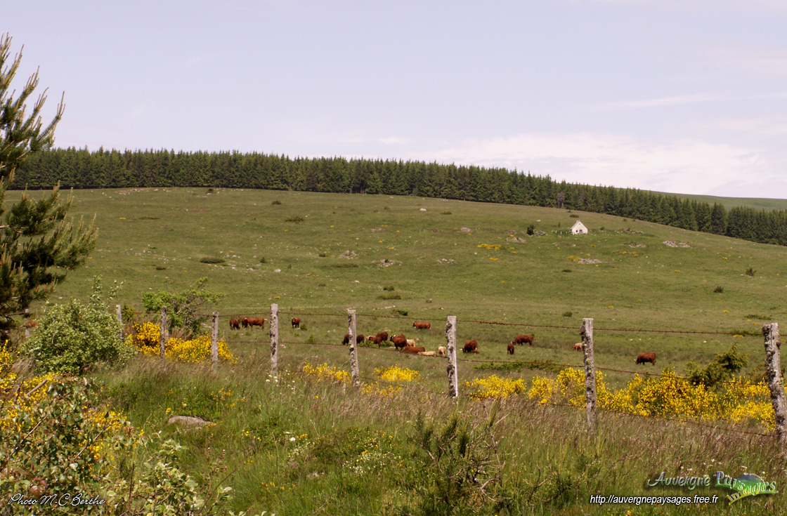 Les Tracs d'Anzat